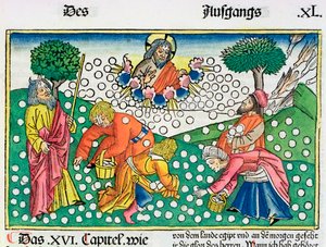 निर्गमन 16:13-22: परमेश्वर इस्राएलियों को बटेर और मन्ना प्रदान करता है द्वारा अज्ञात