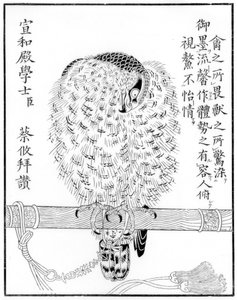 फाल्कन, 1886 द्वारा अज्ञात