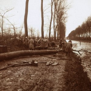 फेलिंग ट्री, नोयॉन, उत्तरी फ्रांस, c1914-c1918 द्वारा अज्ञात