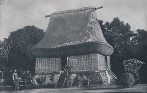 फिजियन हाउस, 1924 द्वारा अज्ञात
