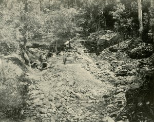 फोसिकर्स एट वर्क, 1901। द्वारा अज्ञात