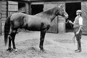 फॉक्सहॉल, 1880-1904, 1911 द्वारा अज्ञात