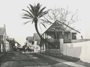 फ्रांसिस स्ट्रीट, सेंट ऑगस्टीन, यूएसए, 1895। द्वारा अज्ञात