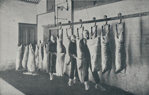 फ्रोजन मीट, 1910 द्वारा अज्ञात