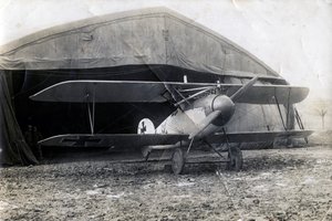 जर्मन अल्बाट्रॉस डीवी, सौली, फ्रांस, 2 जनवरी 1918 द्वारा अज्ञात