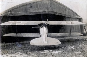 जर्मन एल्बट्रॉस डीवी, सौली, फ्रांस, 2 जनवरी 1918 द्वारा अज्ञात