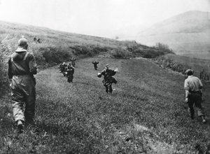 जर्मन सैनिकों ने 1945 अप्रैल, जर्मनी के एल्सबोर्न के पास अमेरिकी प्रथम सेना के सैनिकों के सामने आत्मसमर्पण कर दिया द्वारा अज्ञात