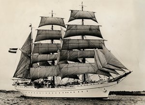 गोर्च फॉक पहली बार फुल सेल के तहत, 1933 द्वारा Unbekannt