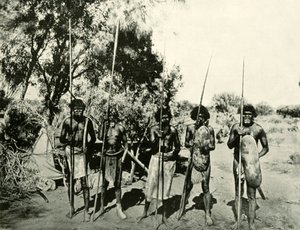 ऑस्ट्रेलियाई आदिवासियों का समूह, क्वींसलैंड, 1901। द्वारा अज्ञात