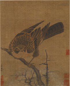 पत्ती रहित शाखा पर बाज़, संभवतः युआन राजवंश, 1279-1368। द्वारा अज्ञात