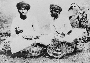 हिंदू फल विक्रेता, भारत, 20 वीं सदी द्वारा अज्ञात