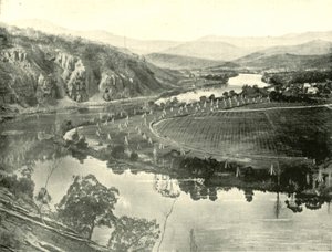 तस्मानिया में हॉप गार्डन, 1901। द्वारा अज्ञात