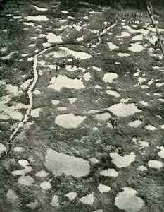 हाउ द वेदर ने एडवांस, 1919 को आगे बढ़ाया। द्वारा अज्ञात
