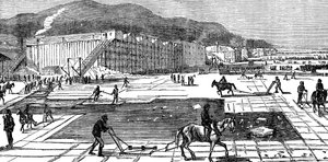 1875 में अमेरिका के न्यूयॉर्क के पास हडसन नदी पर बर्फ का जमाव द्वारा अज्ञात