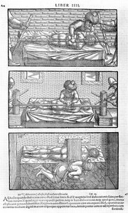 Avicenna, 1556 द्वारा चिकित्सा cordialibus की कैनन की एक किताब से द्वारा अज्ञात