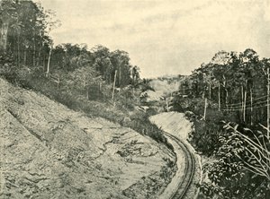ब्लैकल रेंज्स में, 1901। द्वारा अज्ञात