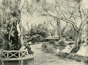बोटैनिक गार्डन, एडिलेड, 1901 में। द्वारा अज्ञात