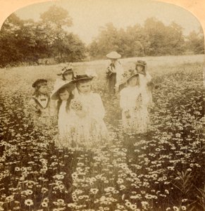 डेज़ी फ़ील्ड में: ग्रामीण ग्लेड का मीठा प्रवाह, 1896। द्वारा अज्ञात