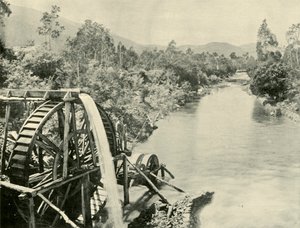 ओवेन्स नदी में, जर्मनटाउन, 1901। द्वारा अज्ञात