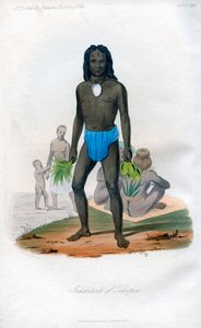 तिकोपिया, 1848 के अंतर्देशीय द्वारा अज्ञात