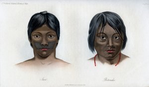 ब्रूसिलियो-गुआरानी राष्ट्र की जूरी और बोटोकुडोस, 1848 द्वारा अज्ञात
