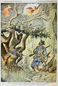 किलिंग बर्ड्स ऑफ पैराडाइज, न्यू गिनी, 1908 द्वारा अज्ञात
