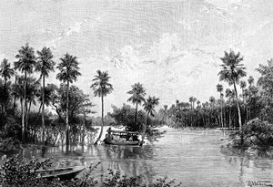 लास पाल्म्स लागुनास, पिलकोमायो के मुंह के पास, 1895 द्वारा अज्ञात