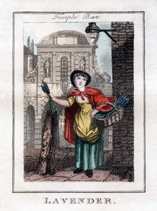 लैवेंडर, टेम्पल बार, लंदन, 1805 द्वारा अज्ञात