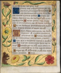 एक Psalter और प्रार्थना से पत्ता: फूलों और गिलहरी के साथ सजावटी सीमा, सी। 1524। द्वारा अज्ञात