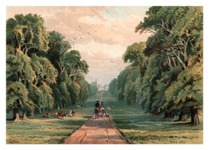 लॉन्ग वॉक, विंडसर पार्क, 1880 द्वारा अज्ञात
