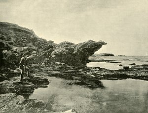लो टाइड, शेल्ली बीच, वॉर्नमबूल, 1901। द्वारा अज्ञात