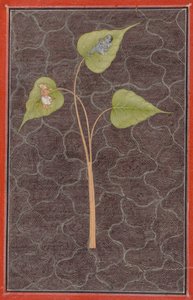 ब्रह्मांड महासागर में कृष्ण को देखने वाले मार्कंडेय, सी। 1680। द्वारा अज्ञात