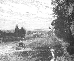 मार्केट स्ट्रीट, प्रिटोरिया, c1880s द्वारा अज्ञात