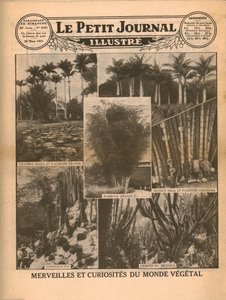 पौधे की दुनिया की चमत्कार और जिज्ञासा, 1931। द्वारा अज्ञात