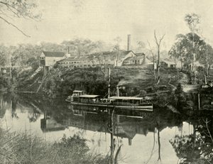 मीट वर्क्स, ग्राफटन के पास, न्यू साउथ वेल्स, 1901। द्वारा अज्ञात