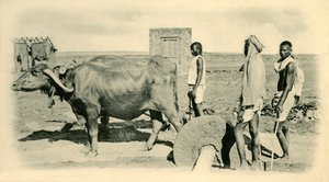 मिक्सिंग मोर्टार,। द्वारा अज्ञात