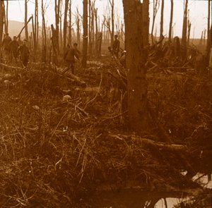 माउंट केमेल, फ्लैंडर्स, बेल्जियम, c1914-c1918 द्वारा अज्ञात