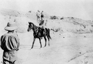 घुड़सवार तुर्की अधिकारी मोसुल, मेसोपोटामिया, WWI, 1918 को छोड़कर द्वारा अज्ञात