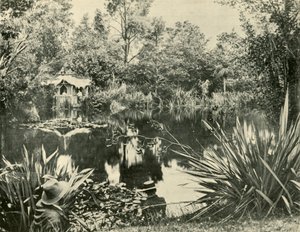 श्री रयन्स गार्डन, माउंट मैसेडोन, विक्टोरिया, 1901। द्वारा अज्ञात