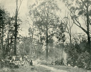 नेटिव स्पोर्ट्स, लेक टायर्स, 1901। द्वारा अज्ञात