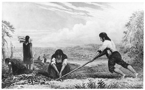 चिल्लो, पेटागोनिया के मूल निवासी, एक स्तन हल का उपयोग करके, 1839 द्वारा अज्ञात