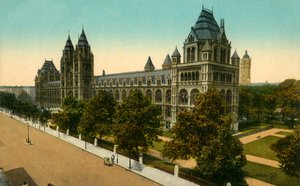 प्राकृतिक इतिहास संग्रहालय, लंदन, c1910। द्वारा अज्ञात