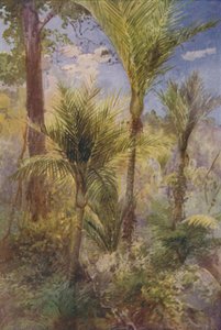 न्यूजीलैंड वन, 1924 द्वारा अज्ञात