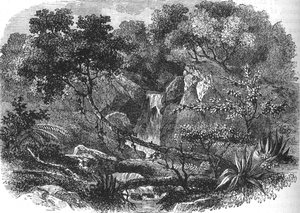 न्यूजीलैंड लैंडस्केप, c1880 द्वारा अज्ञात