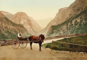 एक घोड़ा गाड़ी पर नार्वे की किसान लड़की। 1900 के आसपास। फोटोक्रोम। फोटोग्लोब - ज्यूरिख द्वारा फोटो द्वारा अज्ञात