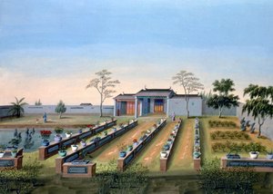 नर्सरी गार्डन, चीन, c1820-1840 द्वारा अज्ञात