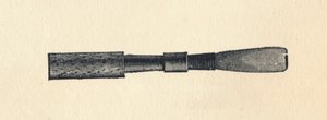 ओबे रीड, 1895। द्वारा अज्ञात