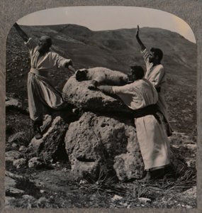 अल्टार पर मेमने की बलि, मोरेह, c1900 द्वारा अज्ञात