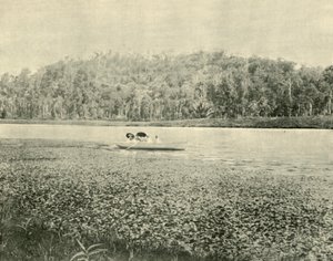 1901 में एनोगेरा झील पर। द्वारा अज्ञात