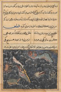 एक तोते की कहानियाँ टुटी-नाम से: ग्यारहवीं रात: समुद्र के जीव, सी। 1560। द्वारा अज्ञात